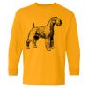  Heavy Cotton™ Long Sleeve T-Shirt (Youth) Thumbnail