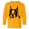  Heavy Cotton™ Long Sleeve T-Shirt (Youth) Thumbnail