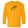  Heavy Cotton™ Long Sleeve T-Shirt (Youth) Thumbnail
