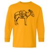  Heavy Cotton™ Long Sleeve T-Shirt (Youth) Thumbnail