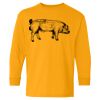  Heavy Cotton™ Long Sleeve T-Shirt (Youth) Thumbnail