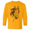  Heavy Cotton™ Long Sleeve T-Shirt (Youth) Thumbnail