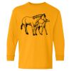  Heavy Cotton™ Long Sleeve T-Shirt (Youth) Thumbnail