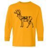 Heavy Cotton™ Long Sleeve T-Shirt (Youth) Thumbnail