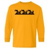  Heavy Cotton™ Long Sleeve T-Shirt (Youth) Thumbnail