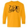 Heavy Cotton™ Long Sleeve T-Shirt (Youth) Thumbnail