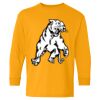  Heavy Cotton™ Long Sleeve T-Shirt (Youth) Thumbnail
