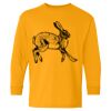  Heavy Cotton™ Long Sleeve T-Shirt (Youth) Thumbnail