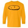  Heavy Cotton™ Long Sleeve T-Shirt (Youth) Thumbnail