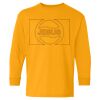  Heavy Cotton™ Long Sleeve T-Shirt (Youth) Thumbnail