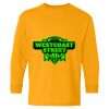  Heavy Cotton™ Long Sleeve T-Shirt (Youth) Thumbnail