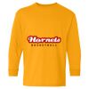 Heavy Cotton™ Long Sleeve T-Shirt (Youth) Thumbnail
