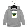 Toddler Sponge Fleece Pullover Hoodie Thumbnail