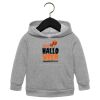 Toddler Sponge Fleece Pullover Hoodie Thumbnail