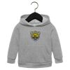Toddler Sponge Fleece Pullover Hoodie Thumbnail