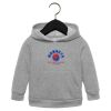 Toddler Sponge Fleece Pullover Hoodie Thumbnail